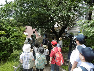 総合環境講座の屋外学習。左は街なみウォッチング、右はすみだ環境ふれあい館　雨水資料室の見学。
