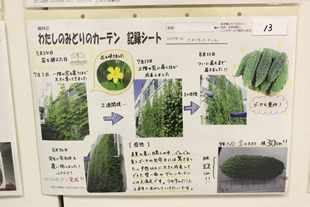 さまざまな工夫が詰まった、生育記録シートの例