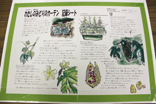 さまざまな工夫が詰まった、生育記録シートの例