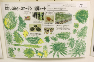 さまざまな工夫が詰まった、生育記録シートの例