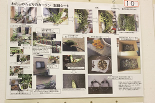 さまざまな工夫が詰まった、生育記録シートの例