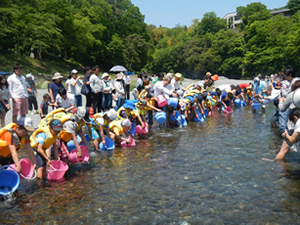 がんばれ！あゆっ子2015のアユ放流と集合写真