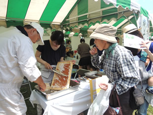 環境啓発ゾーン。各出展団体による環境活動のPR。