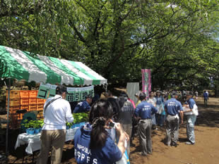 認定NPO法人府中PFSと府中東高校生物部の協力によるグリーンカーテン用の苗の配布。グリーンカーテンの育て方についてまとめた独自のチラシとともに配布した。