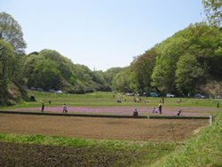 写真：里地（谷戸田の風景）