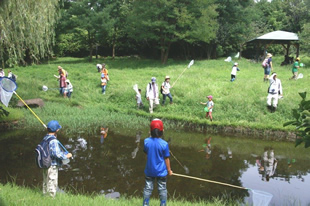 開発を免れたトンボ池での昆虫観察会